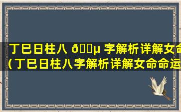 丁巳日柱八 🐵 字解析详解女命（丁巳日柱八字解析详解女命命运）